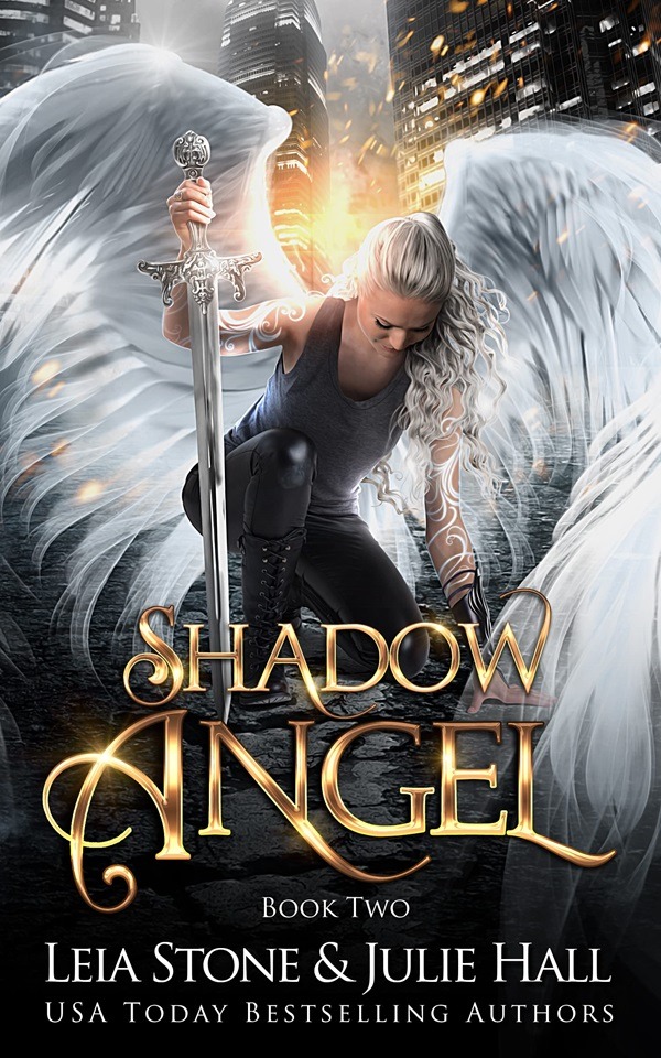 Shadow Angel Series by Leia Stone and Julie Hall - Travelbookworm